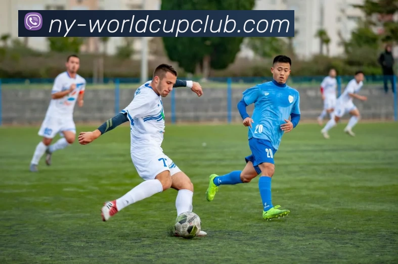 世俱杯投注官网平台生态图